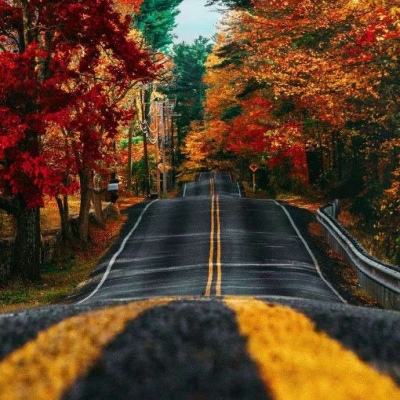 b体育手机在线登录截图